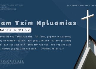Zam Txim Npluamias – 14/11/2024
