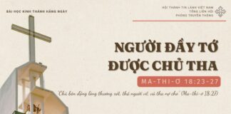 Người Đầy Tớ Được Chủ Tha – 15/11/2024