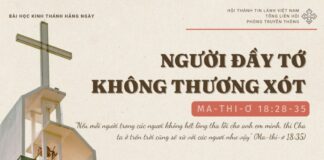 Người Đầy Tớ Không Thương Xót – 16/11/2024
