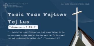 Txais Yuav Vajtswv Tej Lus – 19/11/2024