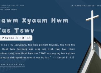 Kawm Xyaum Hwm Tus Tswvm – 20/11/2024