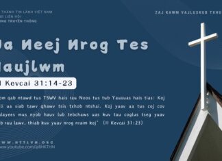 Ua Neej Nrog Tes Haujlwm – 21/11/2024