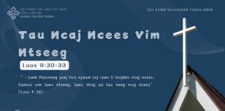 Tau Ncaj Ncees Vim Ntseeg – 22/11/2024
