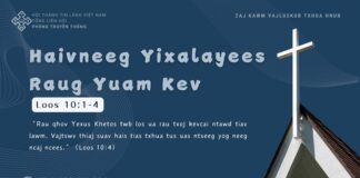 Haivneeg Yixalayees Raug Yuam Kev – 23/11/2024