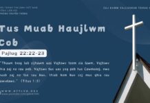 Tus Muab Haujlwm Cob – 25/11/2024