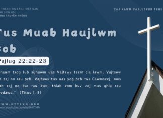 Tus Muab Haujlwm Cob – 25/11/2024