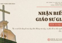Nhận Biết Giáo Sư Giả – 27/11/2024