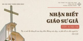 Nhận Biết Giáo Sư Giả – 27/11/2024