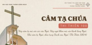 Cảm Tạ Chúa – 28/11/2024