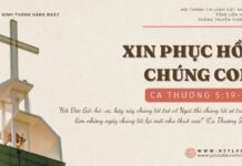 Xin Phục Hồi Chúng Con – 30/11/2024