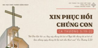 Xin Phục Hồi Chúng Con – 30/11/2024