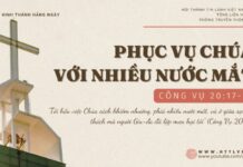 Phục Vụ Chúa Với Nhiều Nước Mắt – 5/11/2024