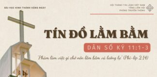 Tín Đồ Lằm Bằm – 6/11/2024