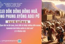 Klei Dôk Dơ̆ng Ƀơ̆ng Huă Hŏng Phung Ayŏng Adei Pô – 11/11/2024