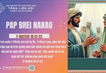 Pap Brei Nanao – 14/11/2024