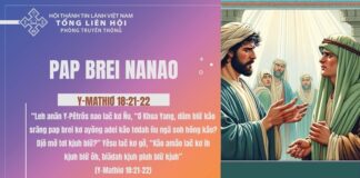 Pap Brei Nanao – 14/11/2024