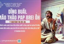 Dĭng Buăl Amâo Thâo Pap Brei Ôh – 16/11/2024