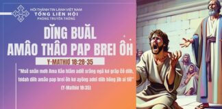 Dĭng Buăl Amâo Thâo Pap Brei Ôh – 16/11/2024