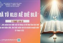 Mă Tŭ Klei Aê Diê Blŭ – 19/11/2024
