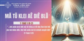 Mă Tŭ Klei Aê Diê Blŭ – 19/11/2024