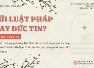 Bởi Luật Pháp Hay Đức Tin? – 11/12/2024