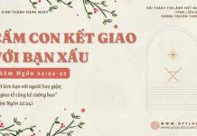 Cấm Con Kết Giao Với Bạn Xấu – 15/12/2024