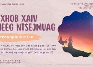 Txhob Xaiv Neeg Ntsejmuag – 20/12/2024