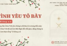 Tình Yêu Tỏ Bày – 23/12/2024