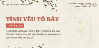 Tình Yêu Tỏ Bày – 23/12/2024