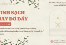 Tinh Sạch Hay Dơ Dáy – 28/12/2024