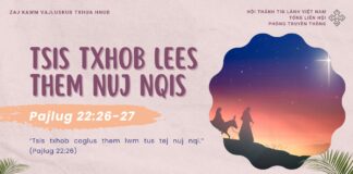 Tsis Txhob Lees Them Nuj Nqis – 29/12/2024