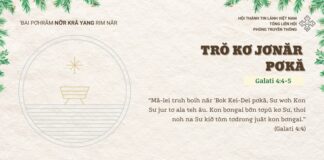 Trŏ Kơ Jơnăr Pơkă – 21/12/2024