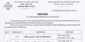 BĐD.TpHCM Thông Báo V/v Tổ Chức Hoạt Động Thiếu Niên Khu Vực Tp.HCM 2025