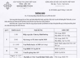 BĐD.TpHCM Thông Báo V/v Tổ Chức Hoạt Động Thiếu Niên Khu Vực Tp.HCM 2025