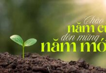 Thơ: CHÀO NĂM CŨ – ĐÓN MỪNG NĂM MỚI