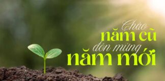 Thơ: CHÀO NĂM CŨ – ĐÓN MỪNG NĂM MỚI