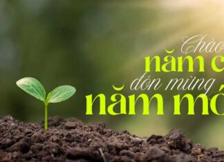 Thơ: CHÀO NĂM CŨ – ĐÓN MỪNG NĂM MỚI