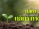 Thơ: CHÀO NĂM CŨ – ĐÓN MỪNG NĂM MỚI