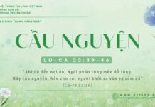 Cầu Nguyện – 1/1/2025