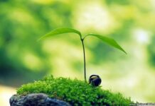 SỐNG VỚI NIỀM HY VỌNG TRONG NĂM MỚI