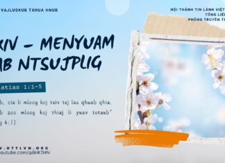 Txiv – Menyuam Sab Ntsujplig – 15/1/2025