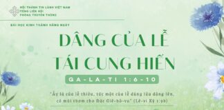 Dâng Của Lễ Tái Cung Hiến – 17/1/2025