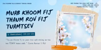 Muab Khoom Fij Thaum Rov Fij Tuamtsev – 17/1/2025