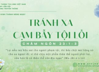 Tránh Xa Cạm Bẫy Tội Lỗi – 19/1/2025
