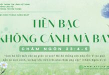 Tiền Bạc Không Cánh Mà Bay – 26/1/2025