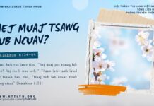Nej Muaj Tsawg Lub Ncuav? – 28/1/2025