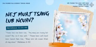 Nej Muaj Tsawg Lub Ncuav? – 28/1/2025