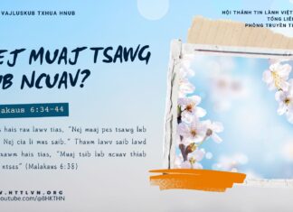 Nej Muaj Tsawg Lub Ncuav? – 28/1/2025