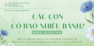 Các Con Có Bao Nhiêu Bánh? – 28/1/2025