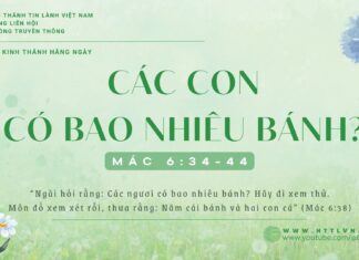 Các Con Có Bao Nhiêu Bánh? – 28/1/2025